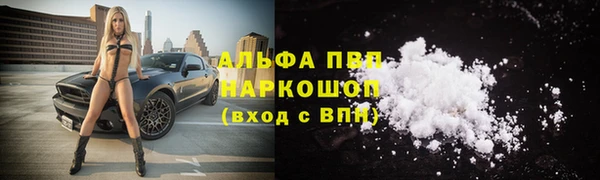 дживик Арсеньев