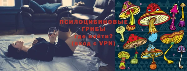 не бодяженный Аркадак