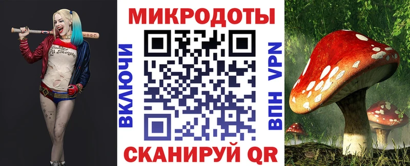 Псилоцибиновые грибы Cubensis  купить закладку  Козьмодемьянск 